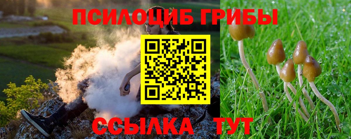Галлюциногенные грибы Cubensis Керчь